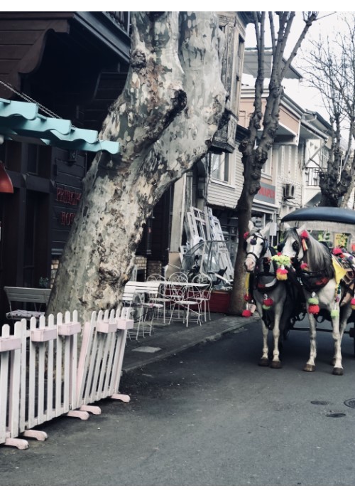 Sayı 31, Sayfa 19 Görseli — Tuğba Türkeş