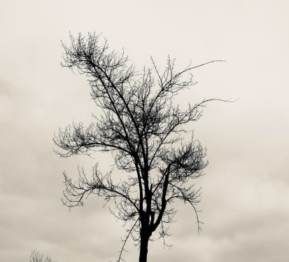 Sayı 46, Sayfa 8 Fotoğrafı — Ahh Marla