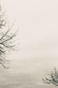 Sayı 46, Sayfa 10 Fotoğrafı — Ahh Marla